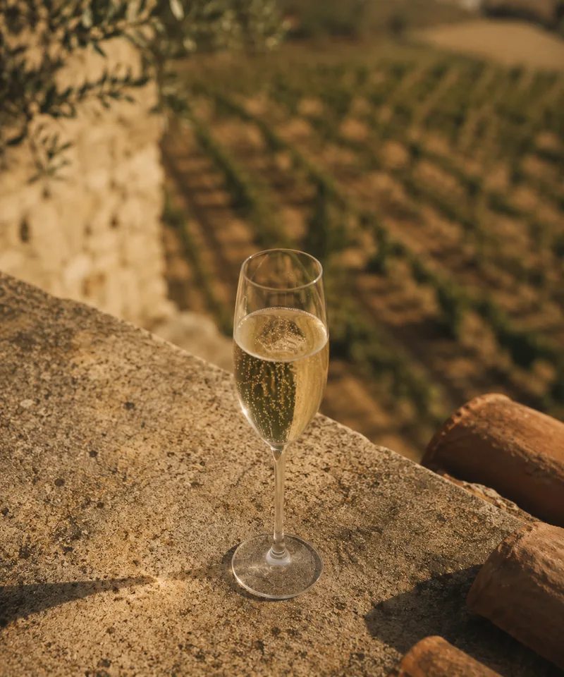 Copa de espumoso Aljibes Brut Nature con viñedo al fondo